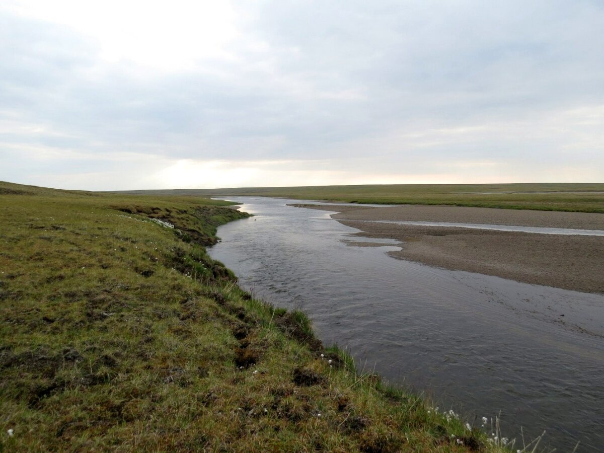 Реки впадающие в море лаптевых список