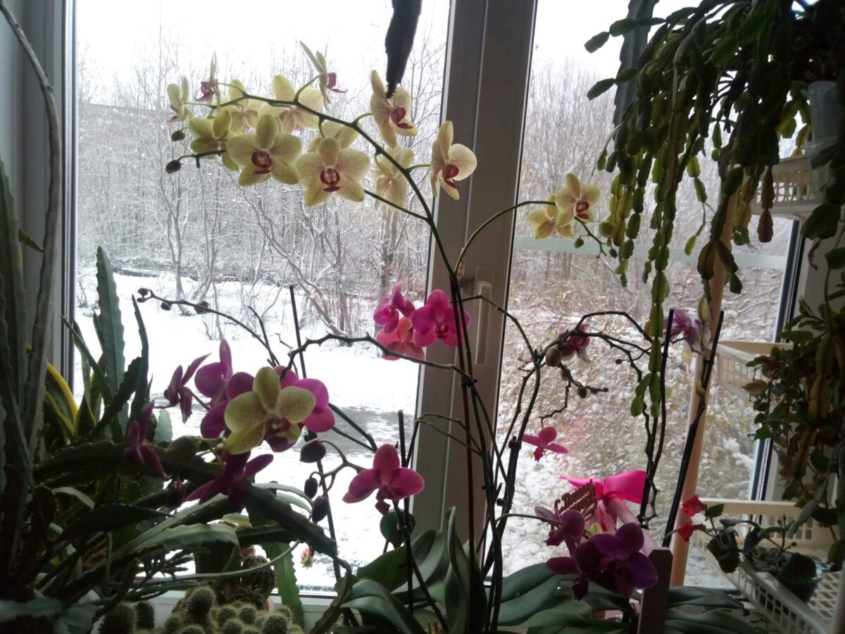 С наступающими праздниками, дорогие читатели! И пусть в душе у вас, не смотря ни на что, всегда будет весна.