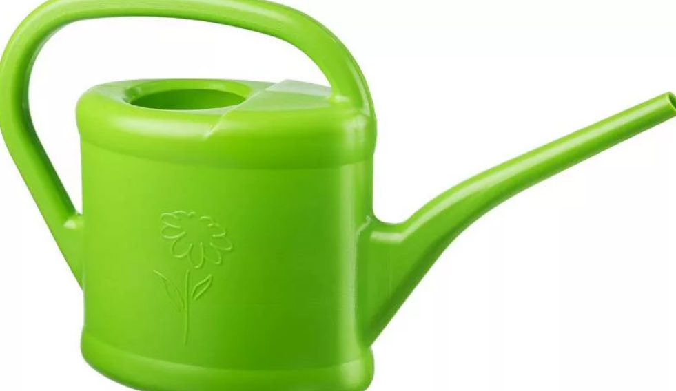 Фото с Яндекса.