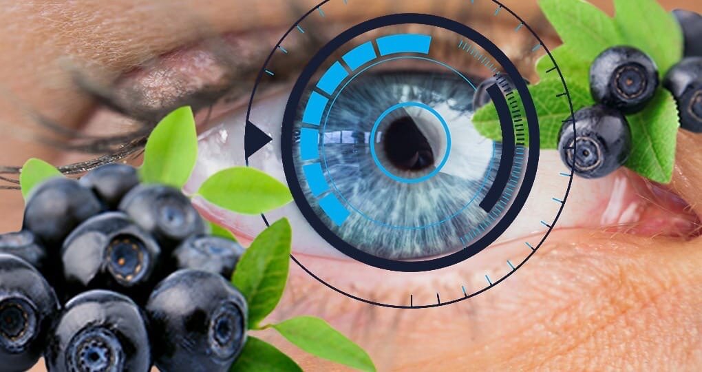 Черника – лучший друг Ваших глаз