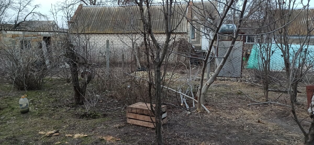 На входе из обильного леса деревьев, остались только пеньки как воспоминание