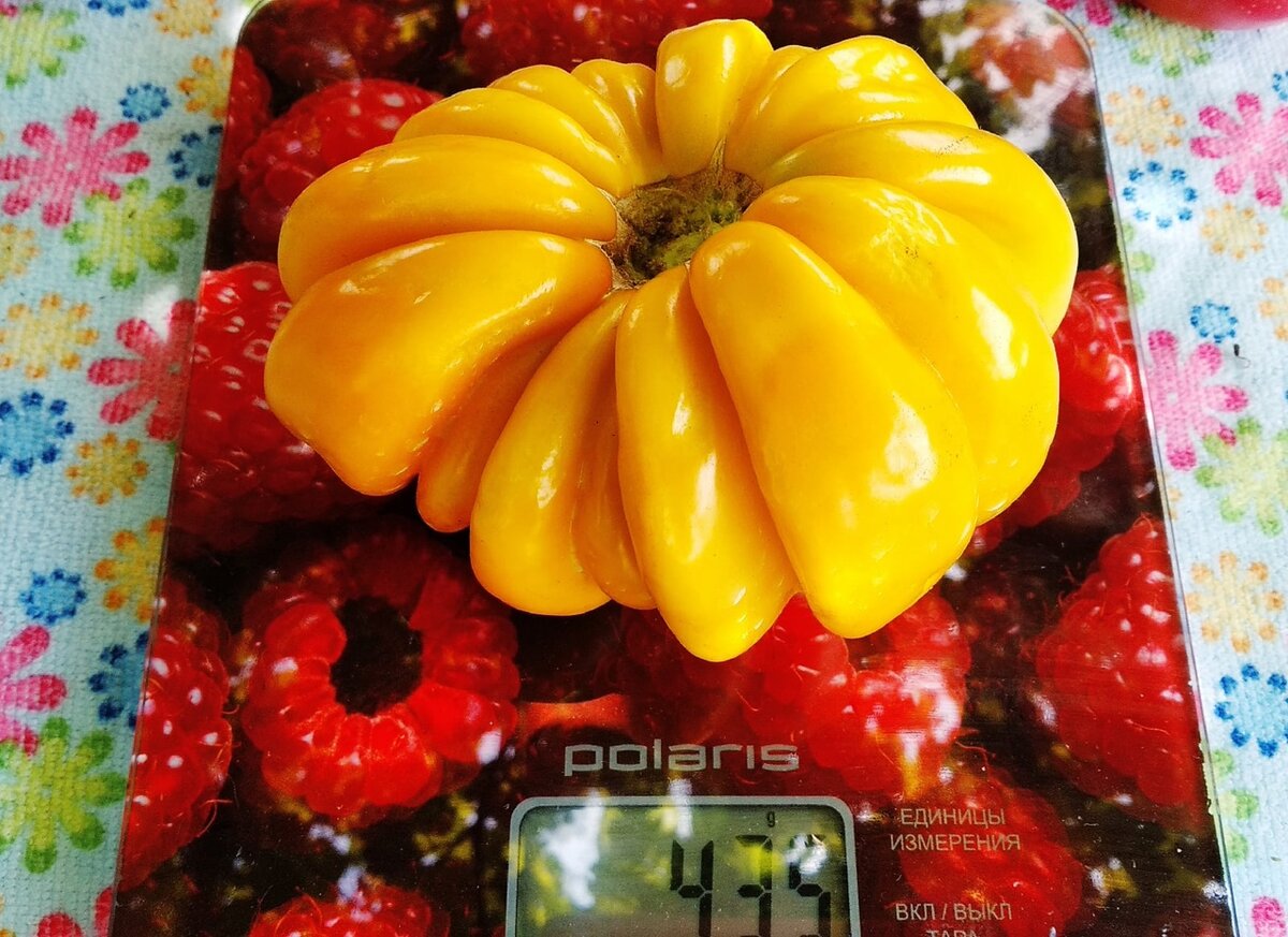 Томаты декоративны