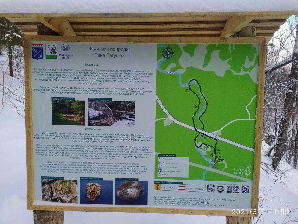 Карта экологического маршрута.