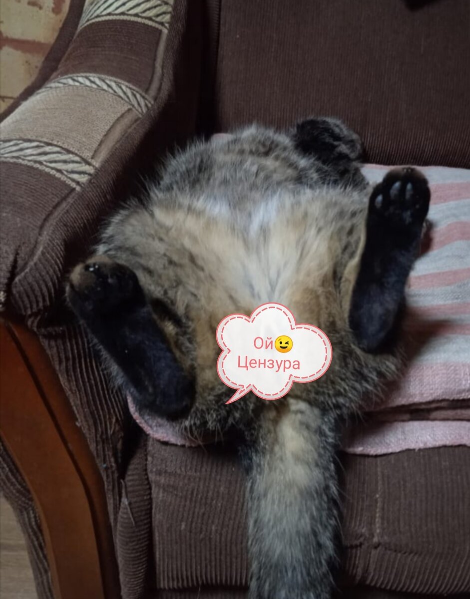 любимая поза для сна