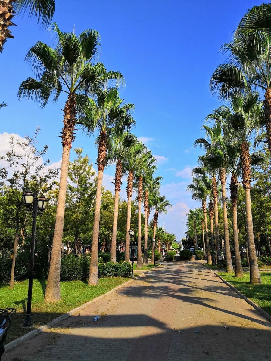 Самый сезон и привычная для нас летняя погода начинается с августа и длится до октября.