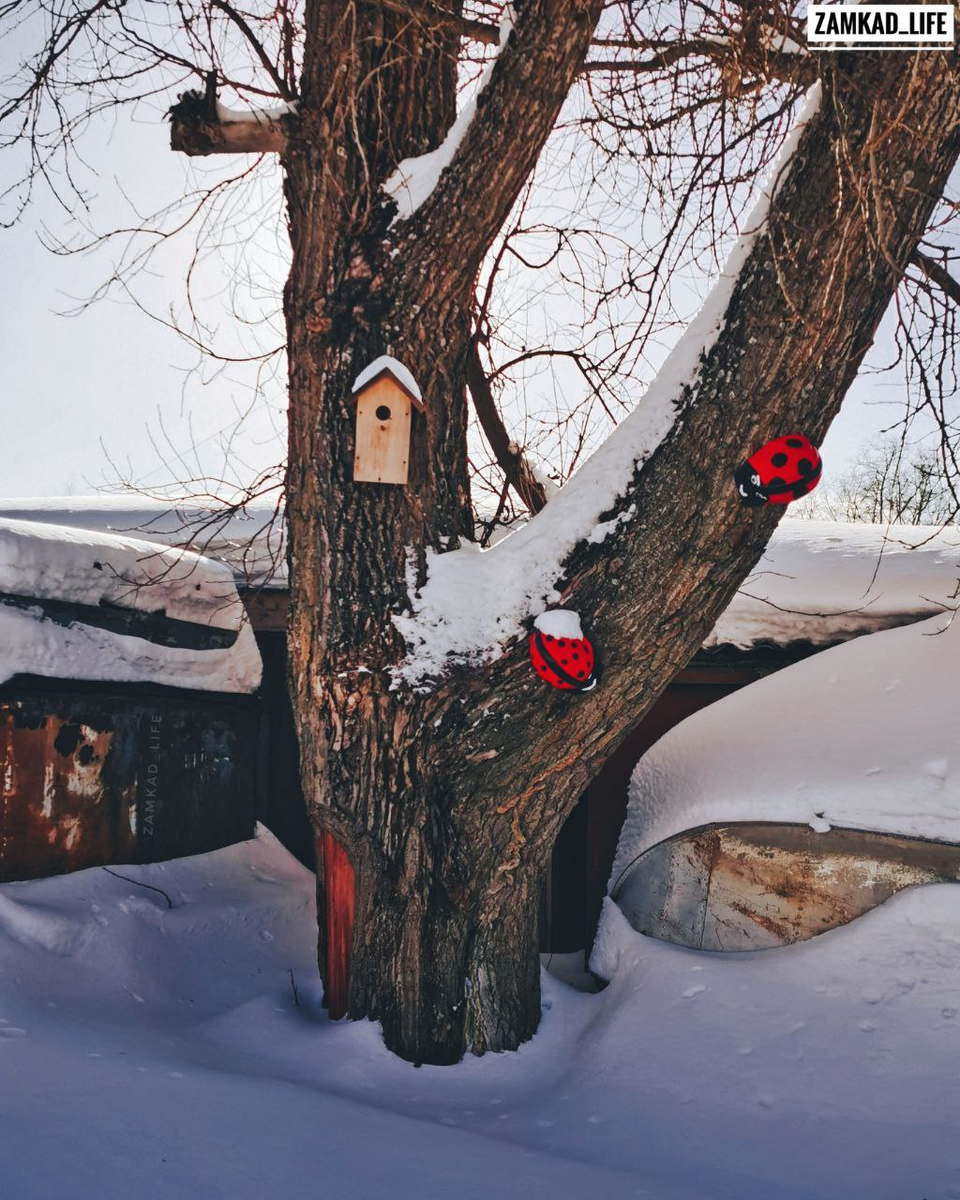 Фото: zamkad_life