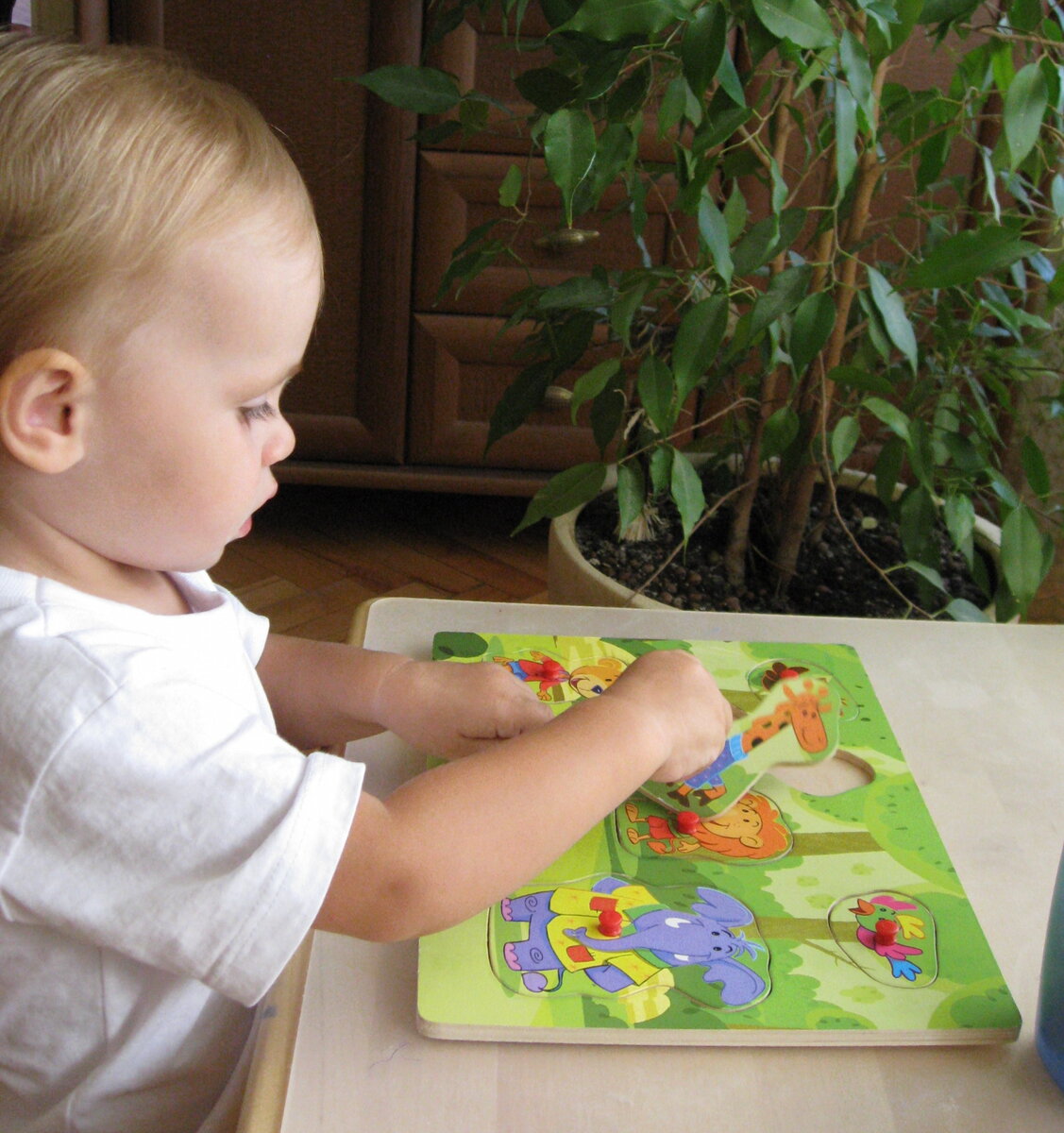 Развивающая игрушка. Фото автора