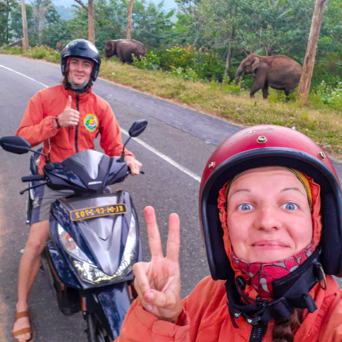 Привет, слоны! В первый день было всё спокойно, а вот во второй... читайте сами