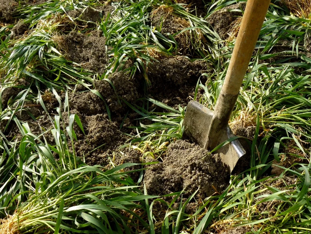 Фотография взята из источника allremont59.ru