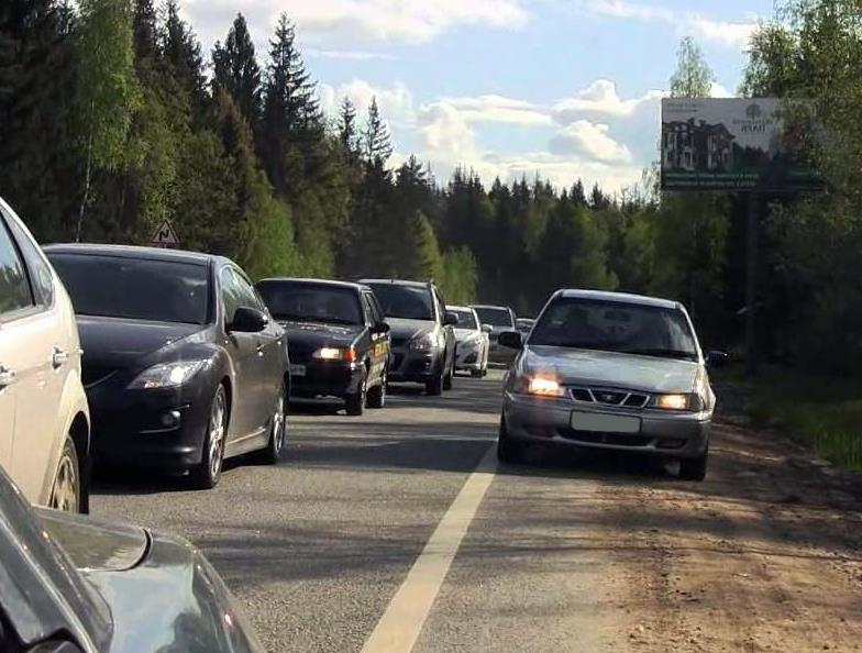 Типичный обочечник