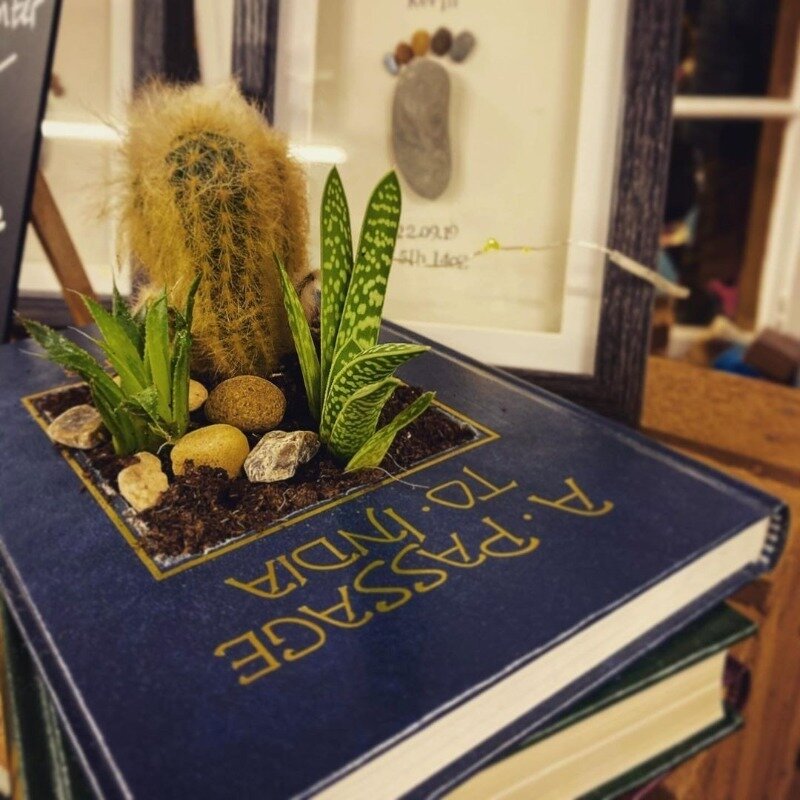 Кашпо из книги. Фото: instagram.com/p/B5oCYG5gC6J/