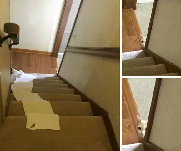 Источник: www.reddit.com