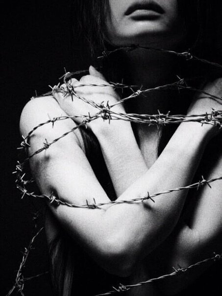 Фото из свободного доступа.