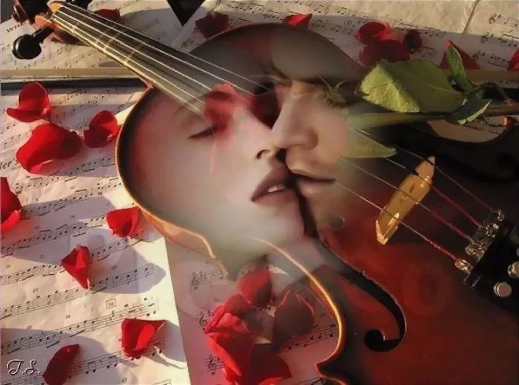Кто поет льется музыка. Скрипка любовь. Музыкальное сердце. Музыкальный вечер. Мелодия любви.