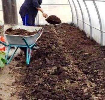 Генеральная уборка в теплице