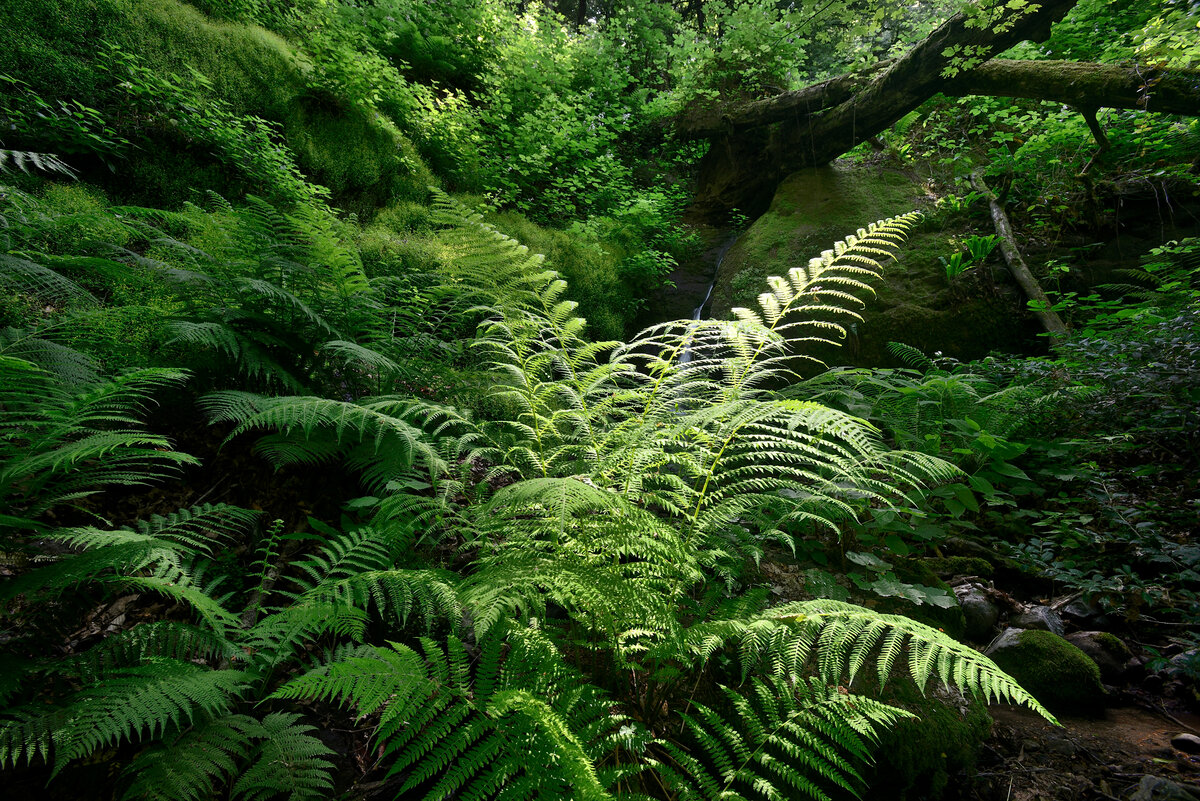 Фото: Алексей Пивоваров