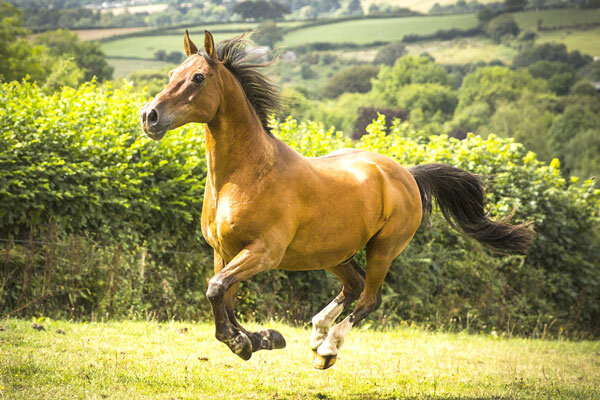 Источник фото сервис Яндекс.Картинки