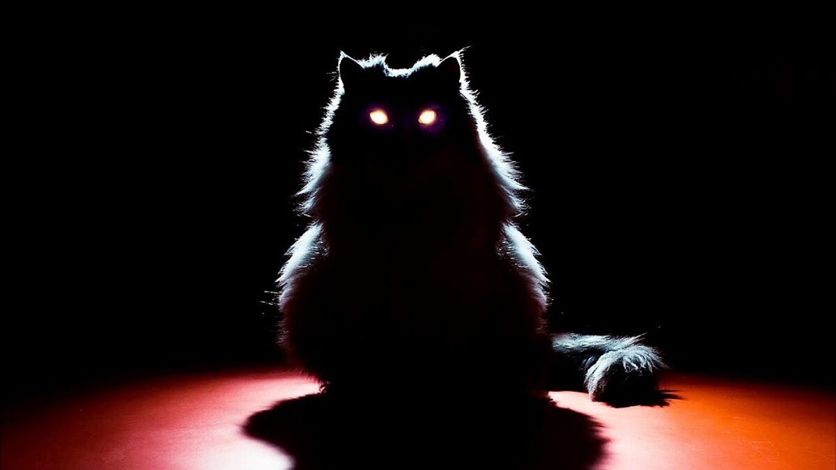 Фото взято из открытых источников