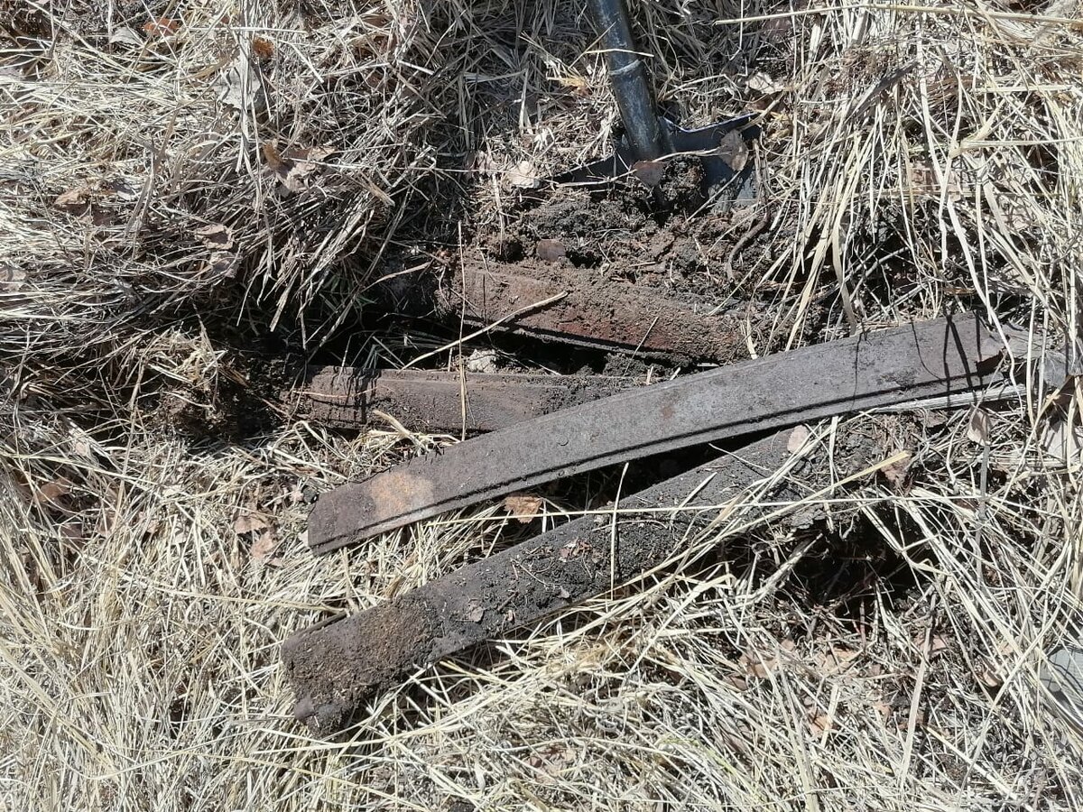 Источник  https://clck.ru/UU57t