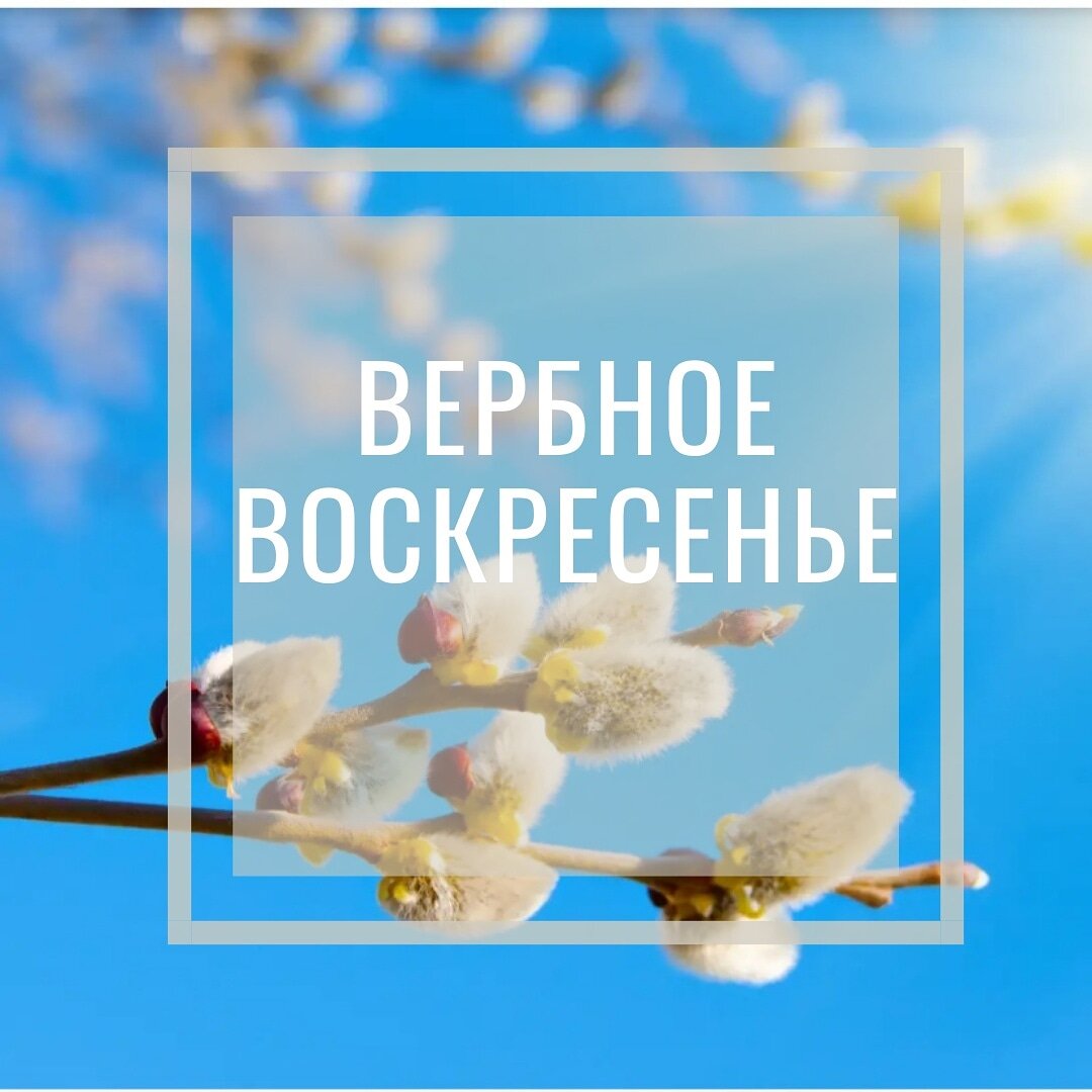 Авторские фото