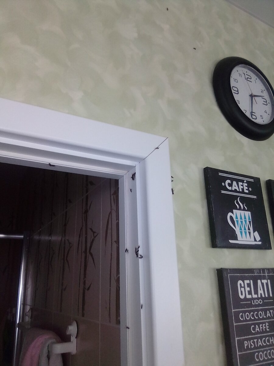 Фото автора. Кухня, вид сбоку