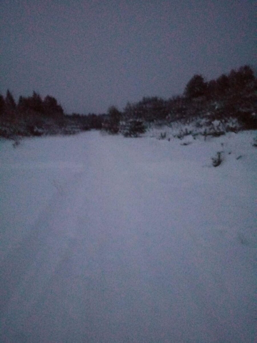 леса вятские темные, глухоманные