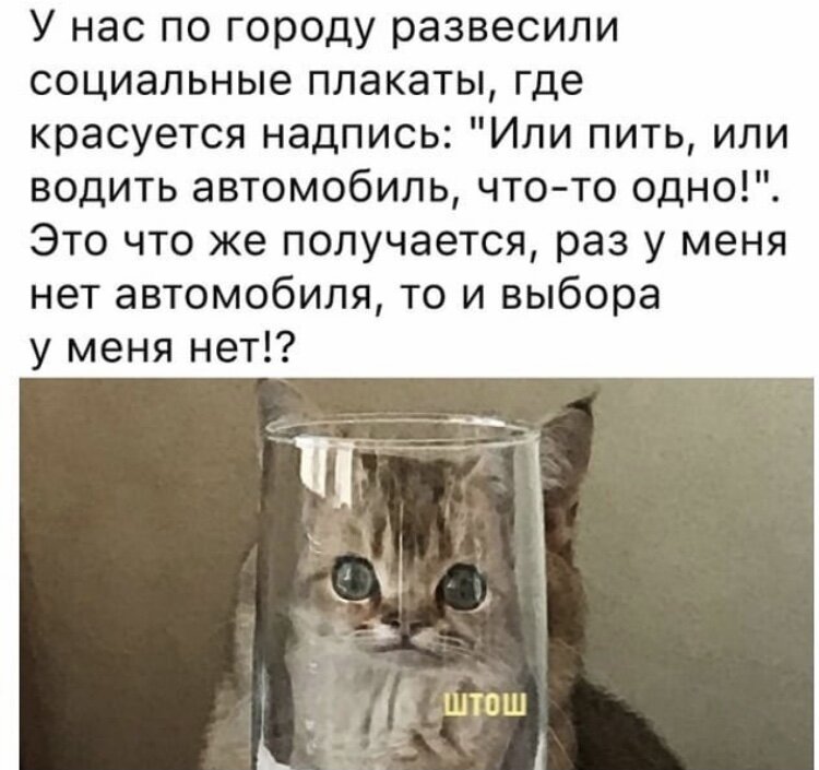 Фото из открытого источника 