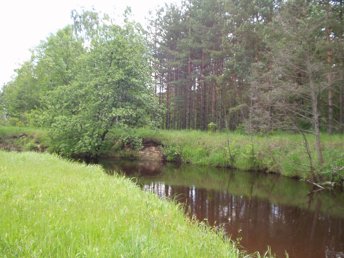 Река Солотча