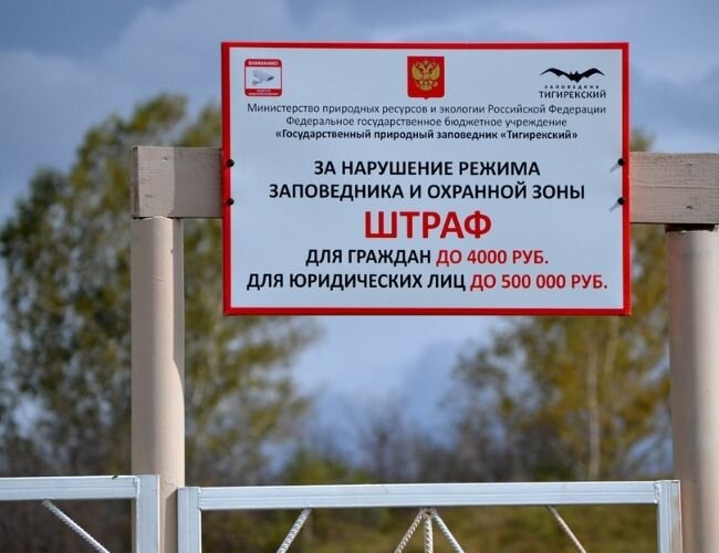 Фото: Яндекс Картинки.