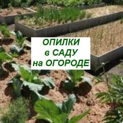 как можно использовать опилки