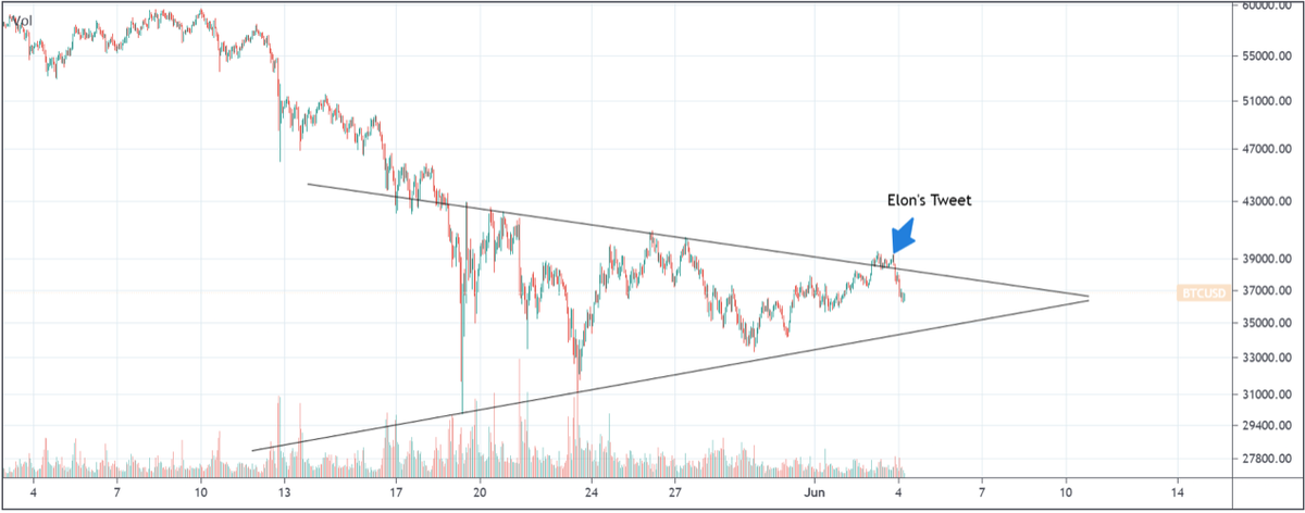 Индикатор Илона Маска