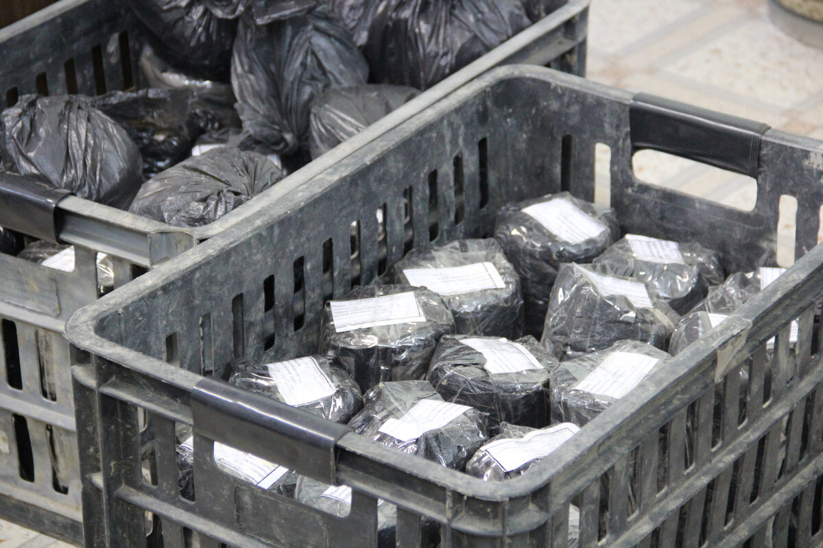 Монолиты грунта