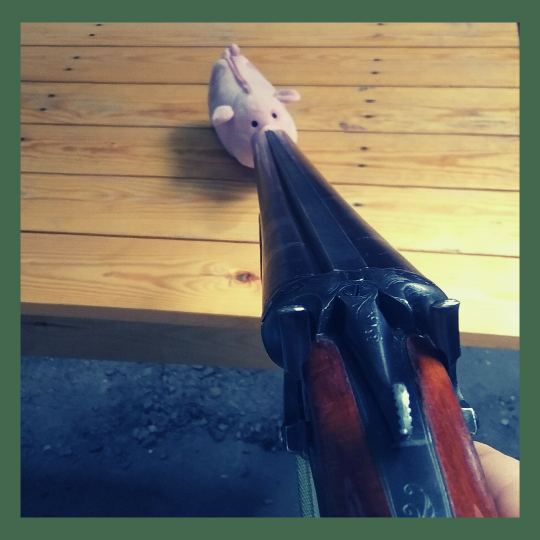 Так выглядит укоризненный взгляд через прицел для владельцев советских двустволок