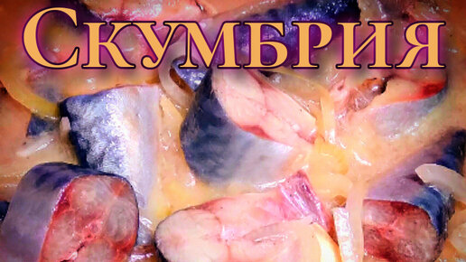 Маринованная скумбрия в домашних условиях