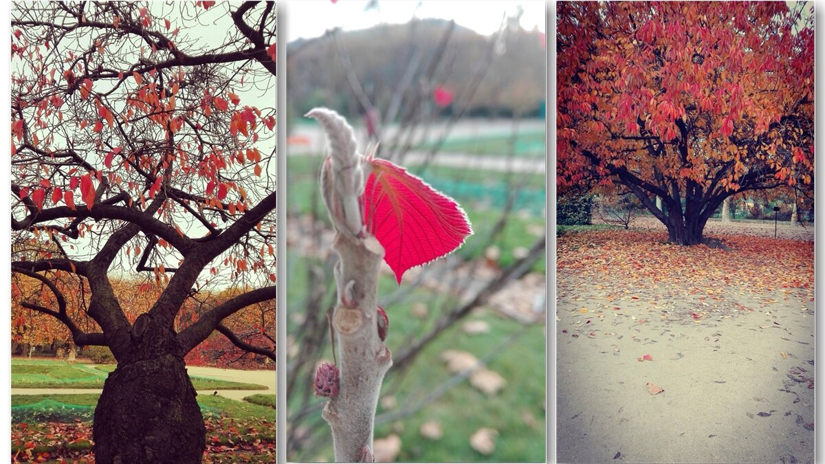 Природу "не судить" намного проще. Она сразу в голове как орнамент.