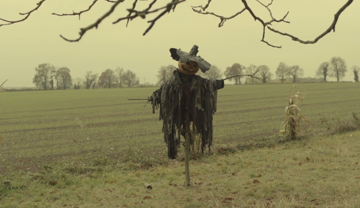 Таким пугалом только людей пугать! 