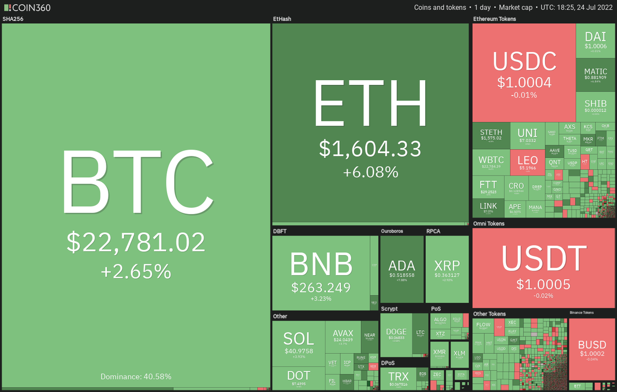 Дневной обзор данных криптовалютного рынка. Источник: Coin360