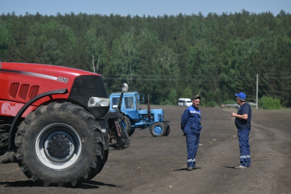     Минсельхоз Рязанской области обновил базу вакансий в агропромышленном комплексе. В ней — около 1000 рабочих мест. Алексей БУЛАТОВ
