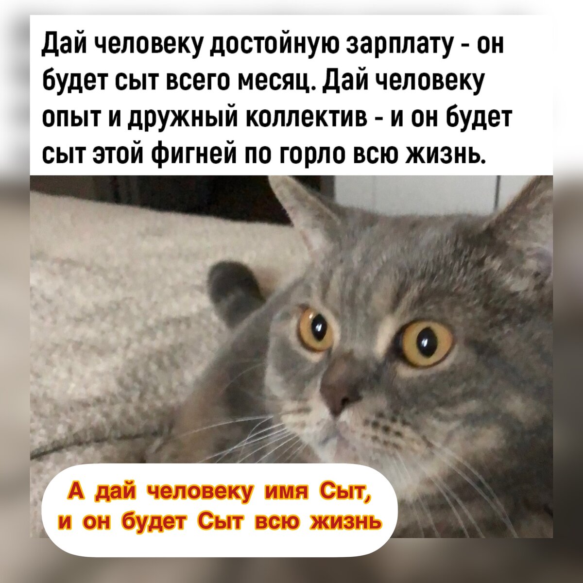 Опять суббота картинки