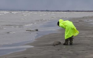    Фото: vsevesti24.ru Валерия Трофимова