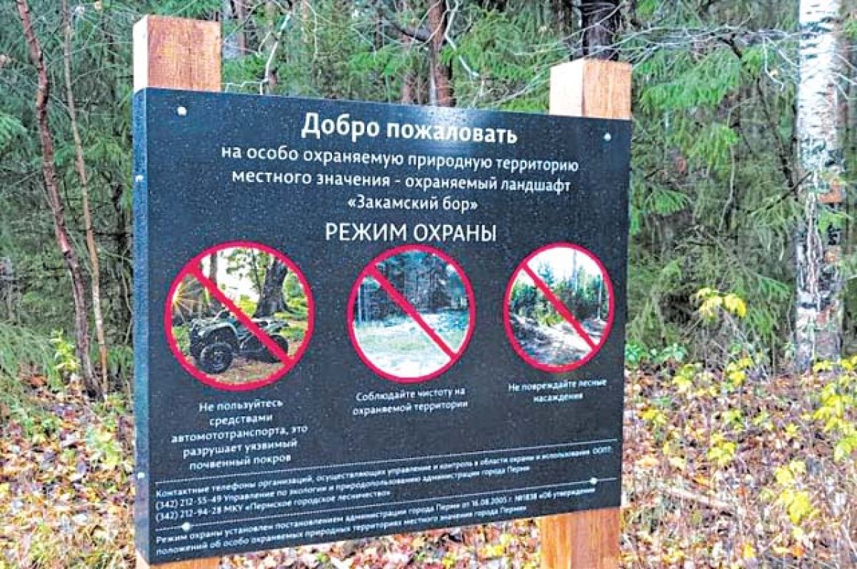    «Зелёное кольцо» поможет существенно изменить отношение жителей к речным долинам и городским лесам.