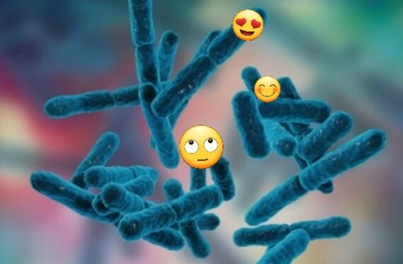 Полезные бактерии