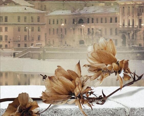 Источник:ru.pinterest