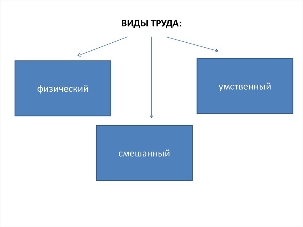 Виды труда схема