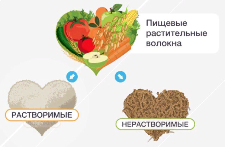 Классификация пв. Источник пищевых волокон в продуктах. Классификация клетчатки. Растворимые волокна. Растворимые волокна.