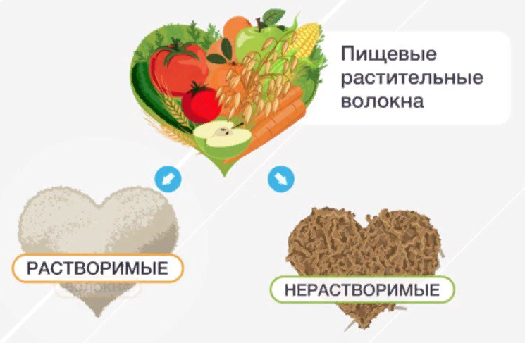 Нерастворимая клетчатка продукты. Клетчатка нерастворимые пищевые волокна. Источники пищевых волокон. Клетчатка и пектиновые вещества. Пищевые волокна необходимы для.