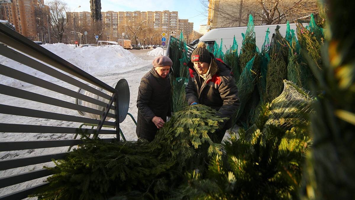    Фото: Сергей Ведяшкин / АГН Москва