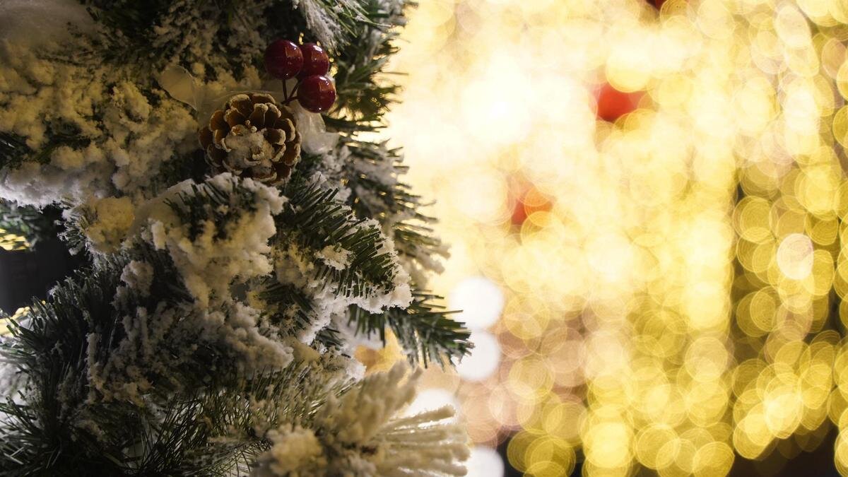    Новогодние украшения:NUR.KZ/ Владимир Третьяков