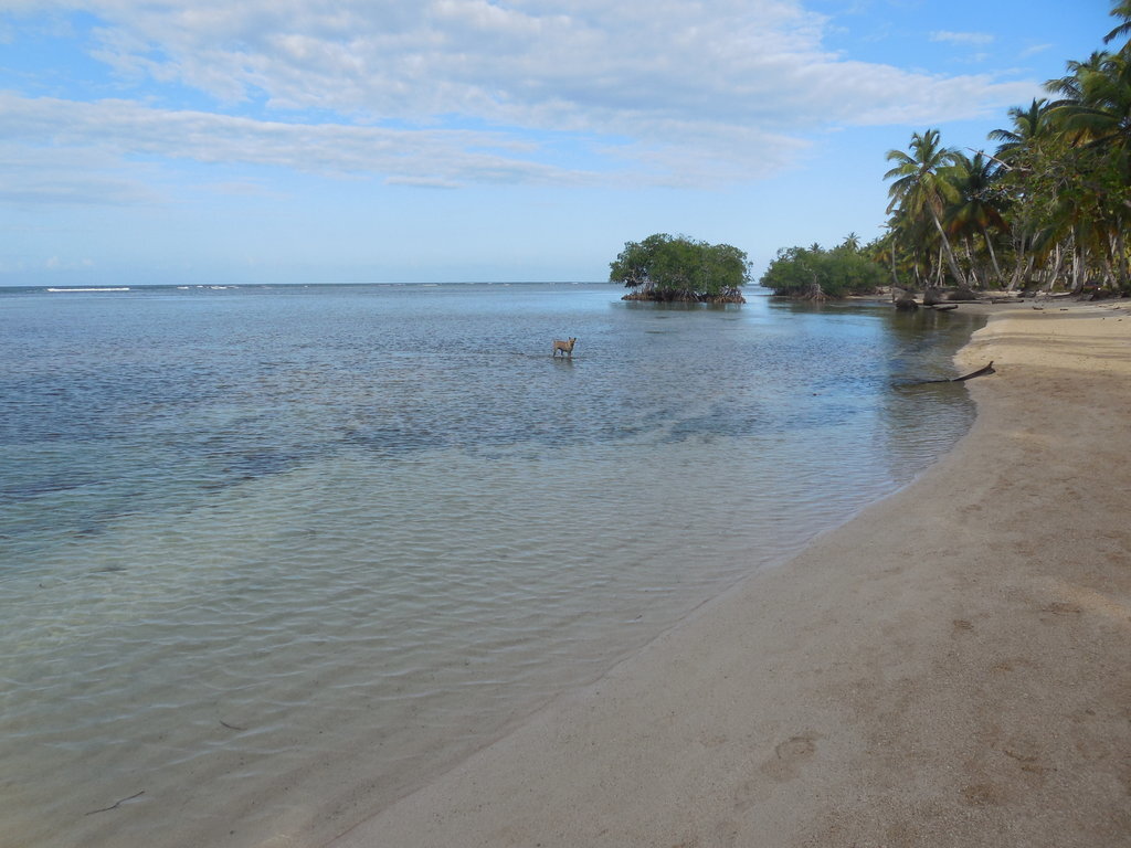 Фотогалерея пляжа Джексон на Самане