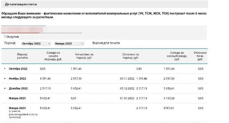     Платеж за декабрь у Анны вырос в 2 раза. Фото: предоставлено героиней публикации.